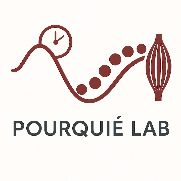 Pourquie Lab